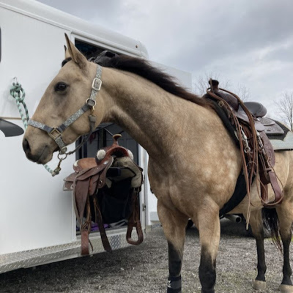 Meet your Posher, Kayla